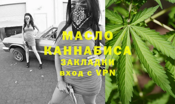 индика Абинск