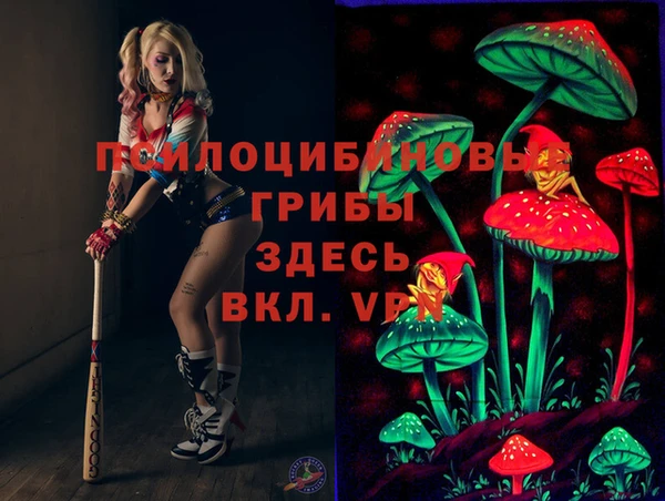 индика Абинск