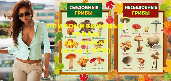 мяу мяу мука Абдулино