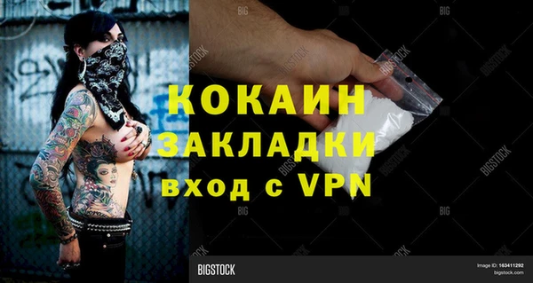 индика Абинск