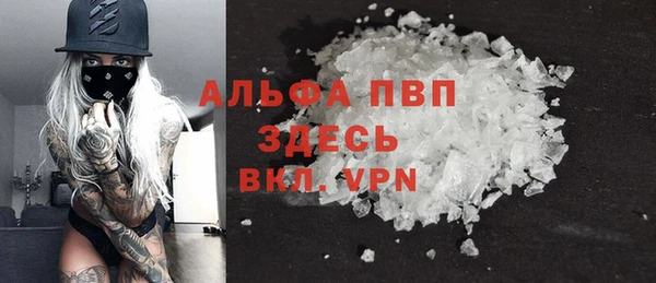 индика Абинск