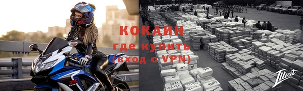индика Абинск