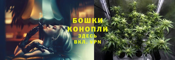 мяу мяу мука Абдулино