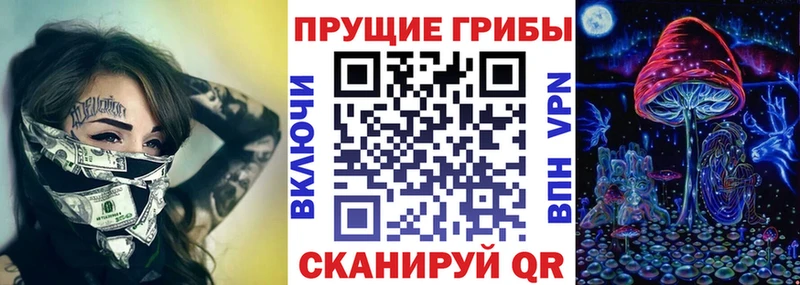 Псилоцибиновые грибы Psilocybe  сколько стоит  Абаза 